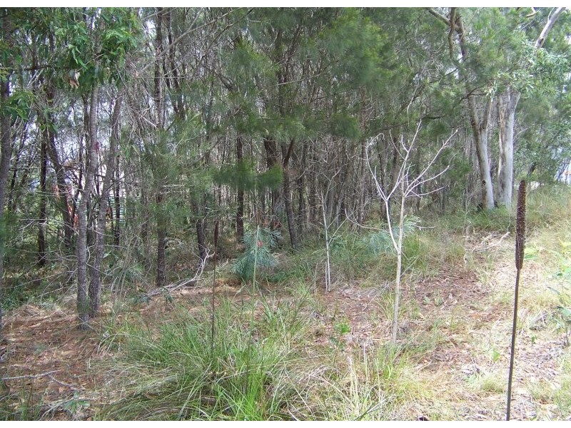 14 Duncan Street, Macleay Island QLD 4184