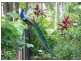 70 Francis Road, Macleay Island QLD 4184