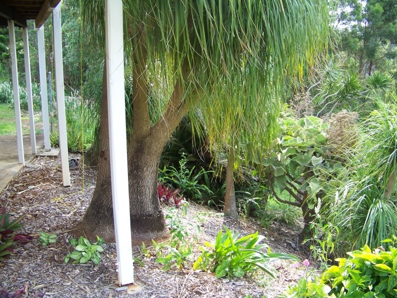 47 PERULPA dr, Lamb Island QLD 4184