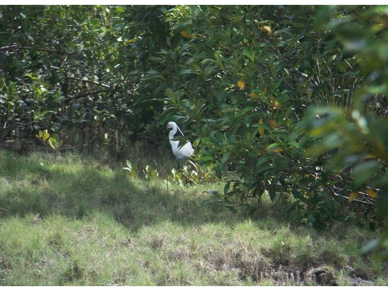 74 Charles Terrace, Macleay Island QLD 4184