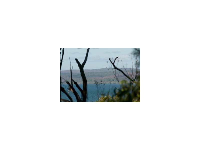 11 Beelong Street, Macleay Island QLD 4184