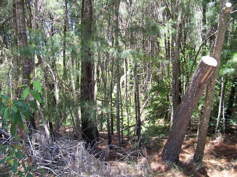 44 SCARBOROUGH TCE, Macleay Island QLD 4184