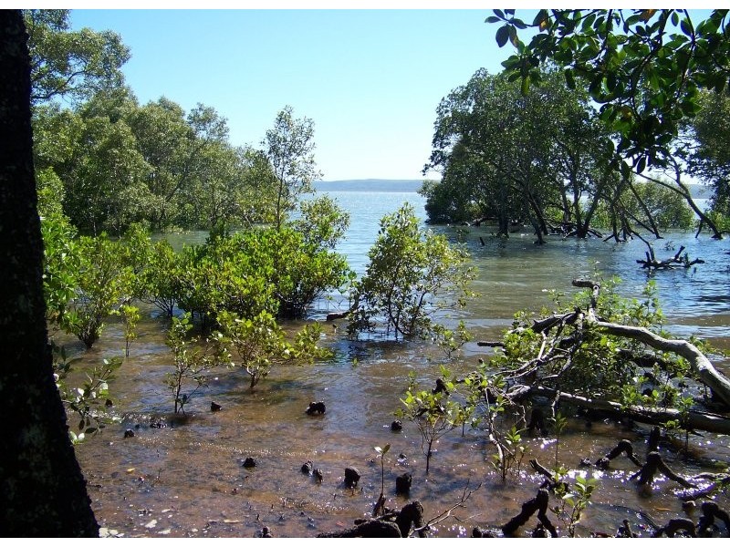 33 Calm Waters Cresc, Macleay Island QLD 4184