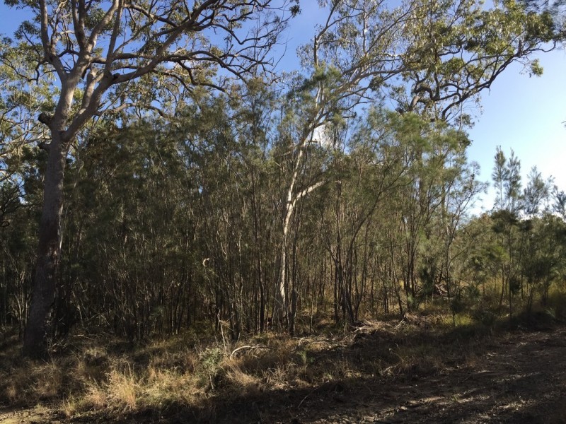 37 WIRRALEE ST, Macleay Island QLD 4184