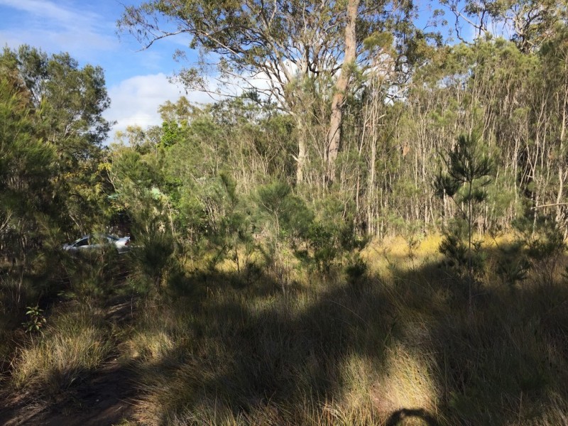 37 WIRRALEE ST, Macleay Island QLD 4184