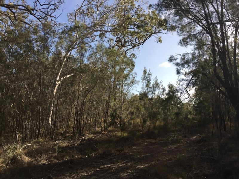 37 WIRRALEE ST, Macleay Island QLD 4184