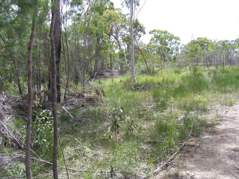 37 WIRRALEE ST, Macleay Island QLD 4184