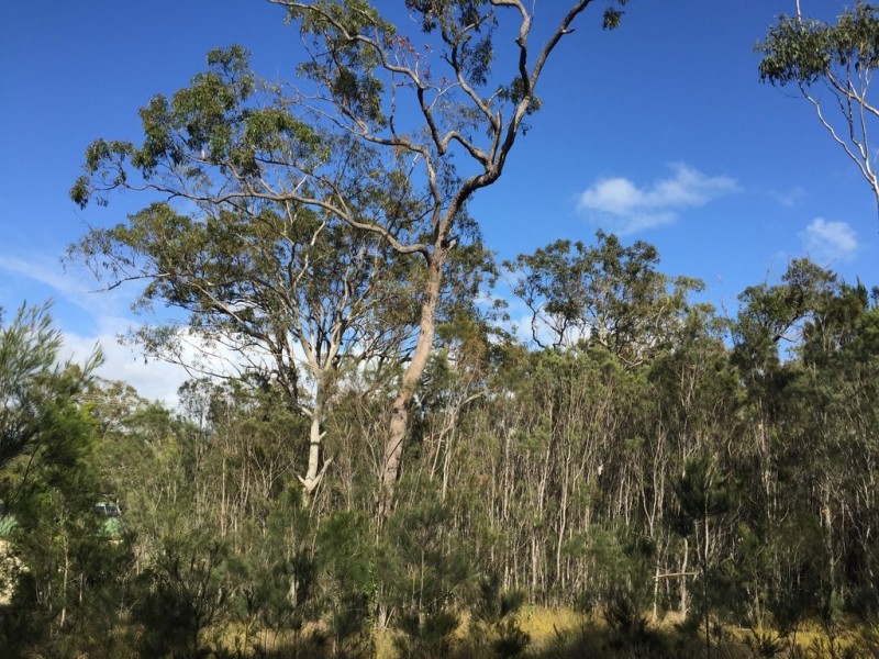 37 WIRRALEE ST, Macleay Island QLD 4184