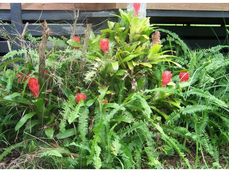 30 Blue Bay Cresc, Macleay Island QLD 4184