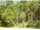 46 Hastings Terrace, Macleay Island QLD 4184