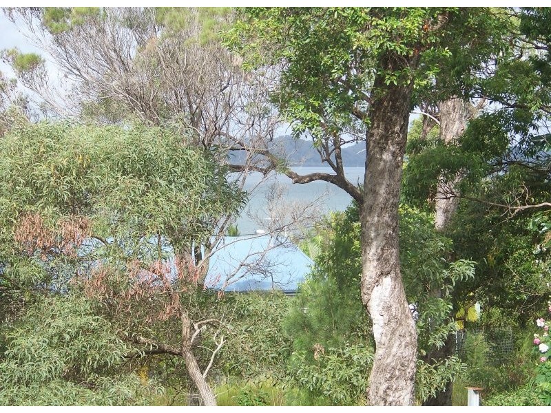 20 Jane Street, Macleay Island QLD 4184