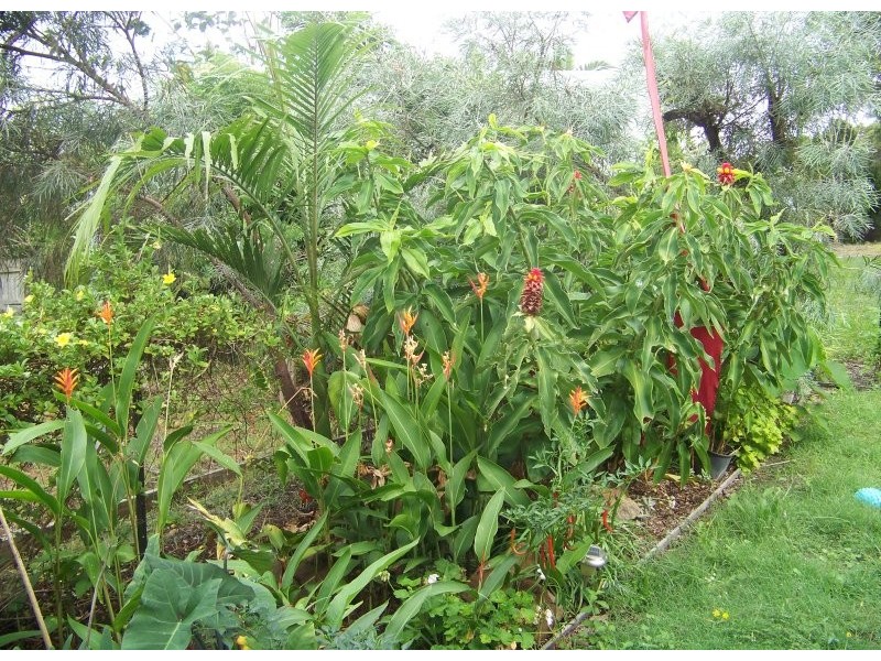 20 Jane Street, Macleay Island QLD 4184