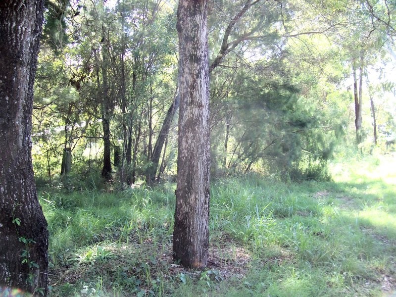 4 ACACIA CRT, Macleay Island QLD 4184