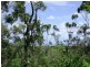 4 Deenya Parade, Russell Island QLD 4184