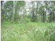 12 Deviot Street, Macleay Island QLD 4184
