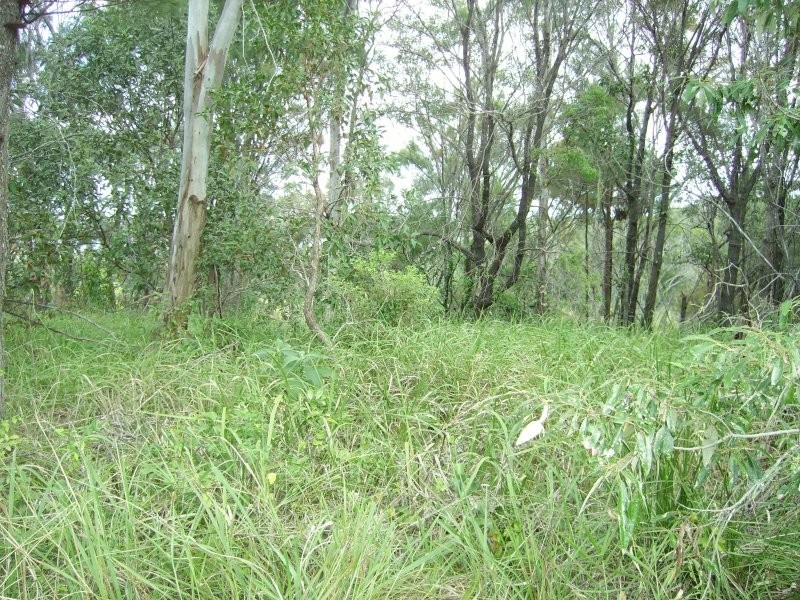 12 Deviot Street, Macleay Island QLD 4184