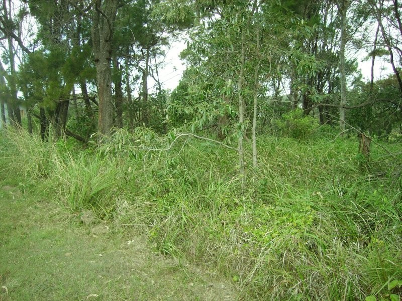 12 Deviot Street, Macleay Island QLD 4184
