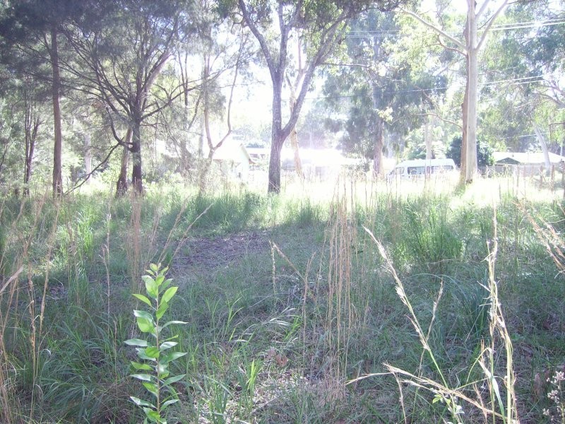 14 Panaroo Street, Macleay Island QLD 4184