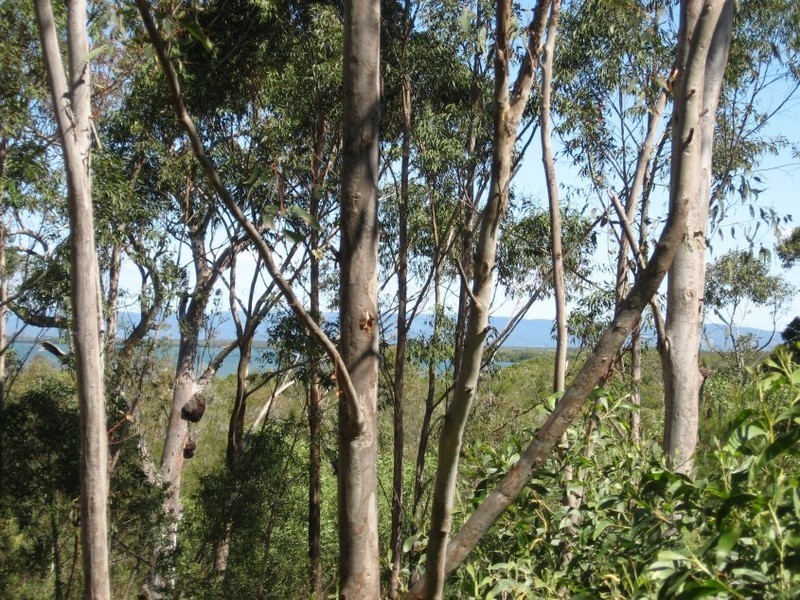 42 Belgrave Road, Russell Island QLD 4184