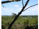 60 Darwallah Avenue, Russell Island QLD 4184