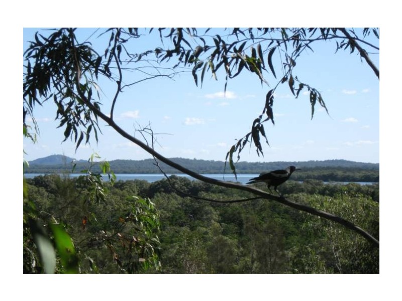 60 Darwallah Avenue, Russell Island QLD 4184