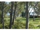 25 Karri Street, Russell Island QLD 4184