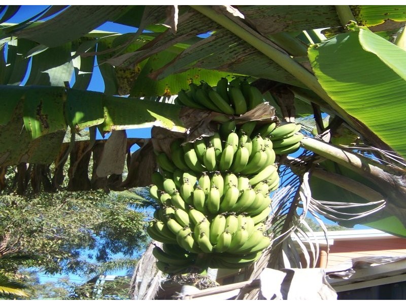28 Leanne Street, Macleay Island QLD 4184