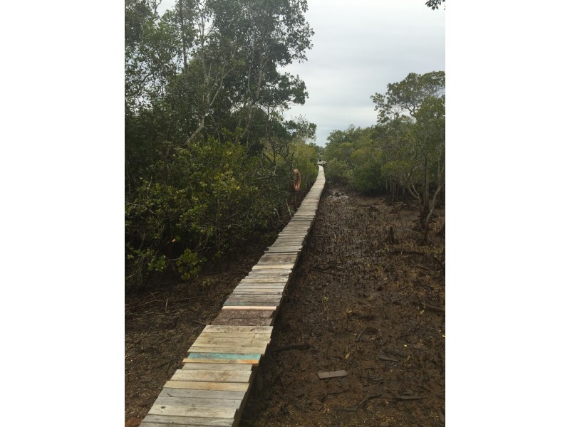 4 Cotton Tree Avenue, Macleay Island QLD 4184