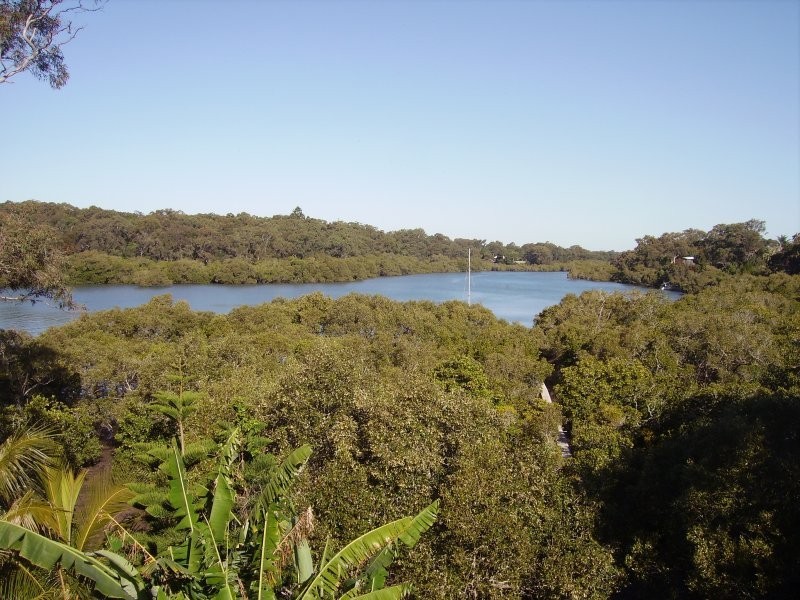4 Cotton Tree Avenue, Macleay Island QLD 4184