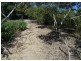 55 Attunga Street, Macleay Island QLD 4184
