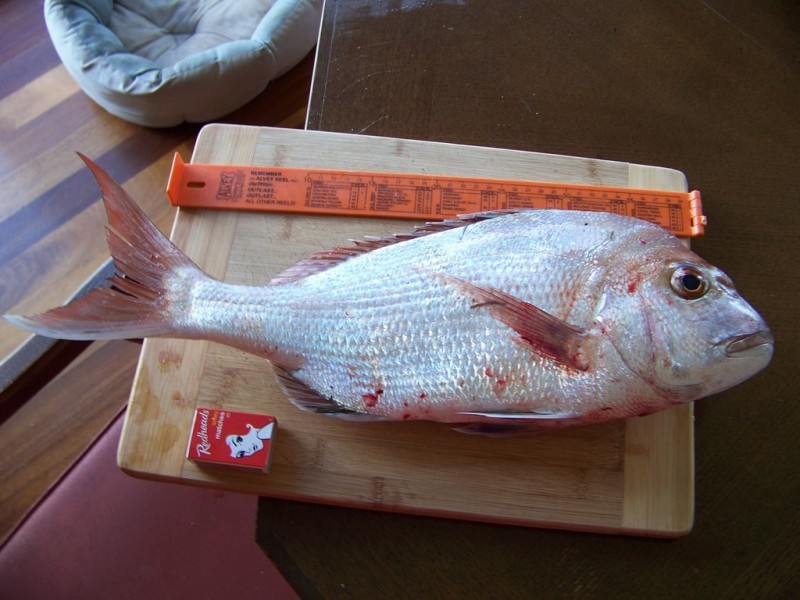 32 Coorong Street, Macleay Island QLD 4184