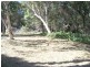 12 PRESIDENT TCE, Macleay Island QLD 4184