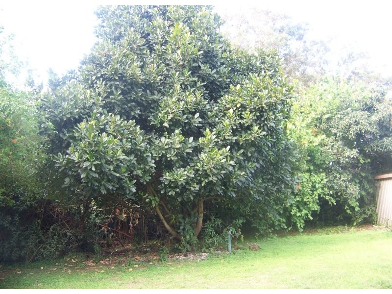 4 to 6 Nugent St, Macleay Island QLD 4184