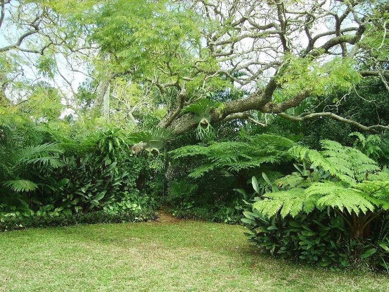 31 Cavendish Street, Russell Island QLD 4184