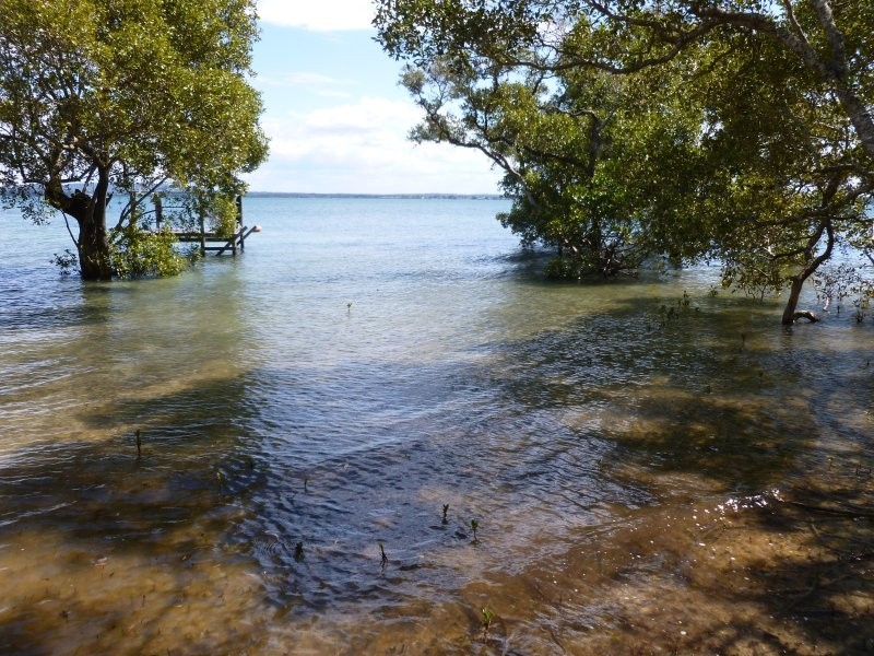 41 Attunga Street, Macleay Island QLD 4184