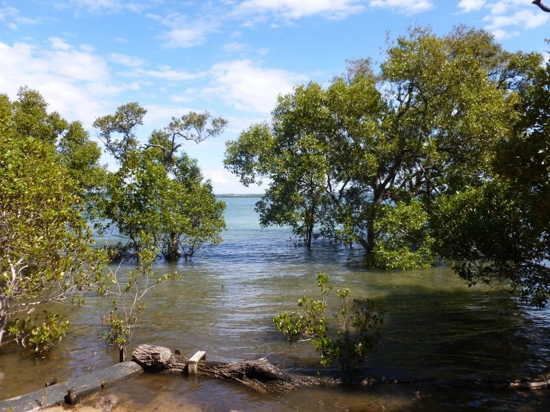 41 Attunga Street, Macleay Island QLD 4184