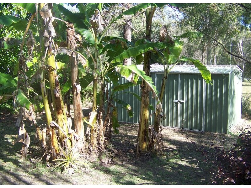 10 Kalara St, Macleay Island QLD 4184