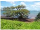 12 Coorong Street, Macleay Island QLD 4184