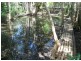 16 Mango Cresc, Macleay Island QLD 4184