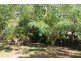 16 Mango Cresc, Macleay Island QLD 4184