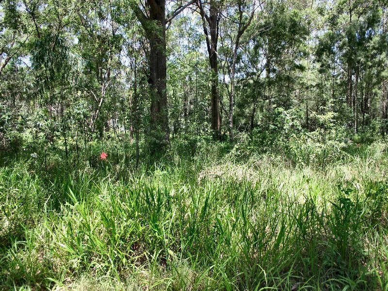 48 Taylor Street, Russell Island QLD 4184