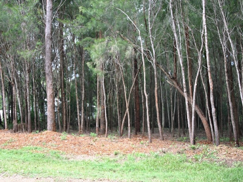 14 Gunsynd Street, Russell Island QLD 4184