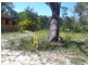 9 Leanne Street, Macleay Island QLD 4184