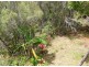 8 EMITA STREET, Macleay Island QLD 4184
