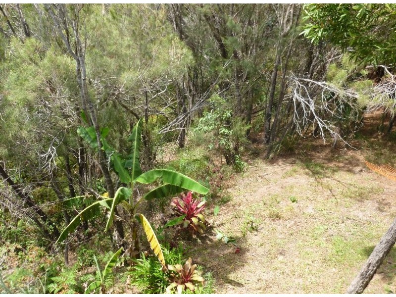 8 EMITA STREET, Macleay Island QLD 4184
