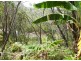 8 EMITA STREET, Macleay Island QLD 4184
