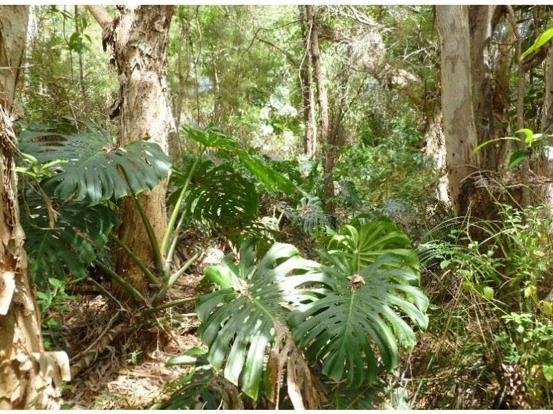 8 EMITA STREET, Macleay Island QLD 4184