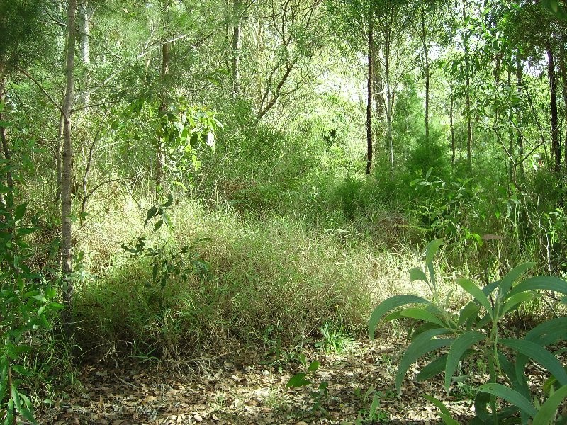 116 Kate Street, Macleay Island QLD 4184