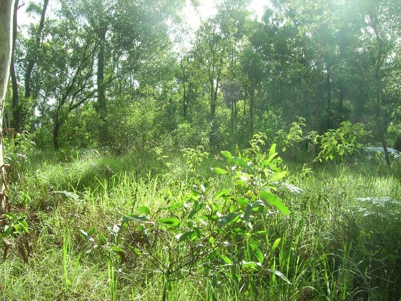 116 Kate Street, Macleay Island QLD 4184