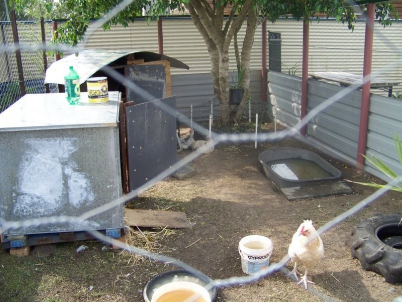 1 Gregory St, Macleay Island QLD 4184